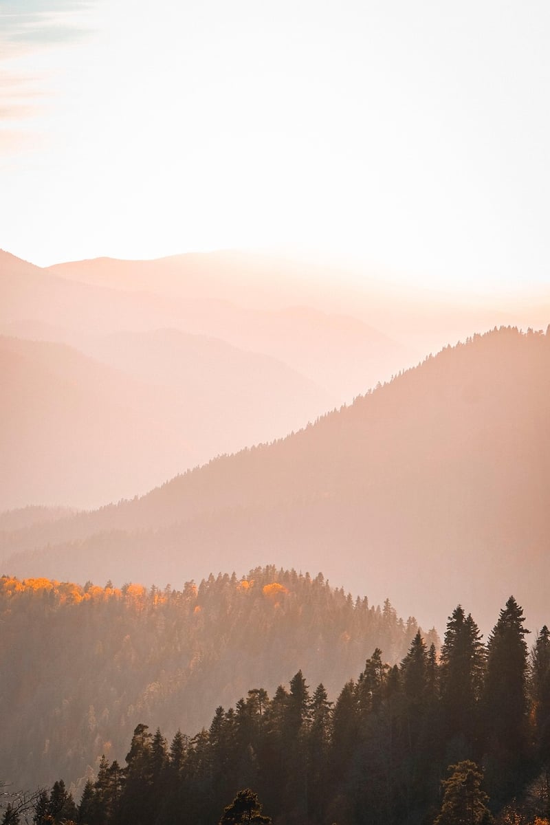 Scenic Sunset Views