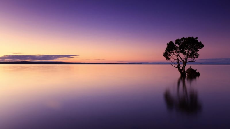 Scenic Sunset View