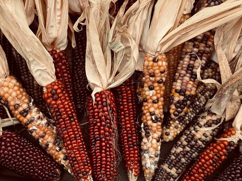 Farm-to-table vegetables
